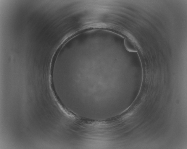 X0000072970845200607211221