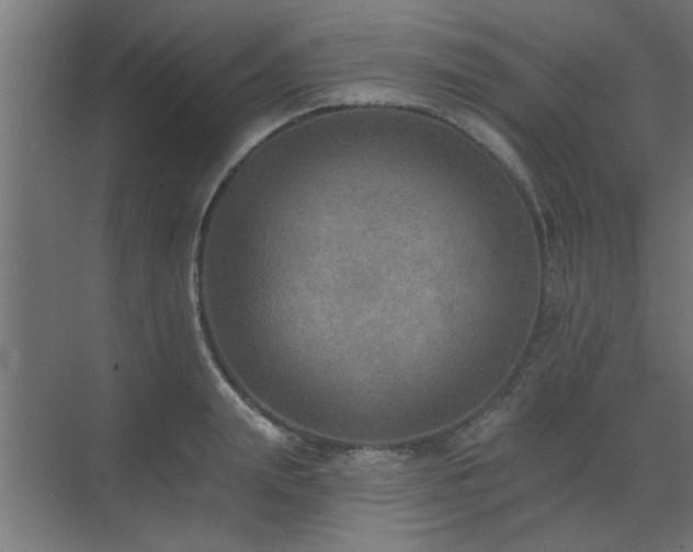 X0000072970847200607211221