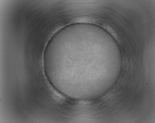 X0000072970848200607211221