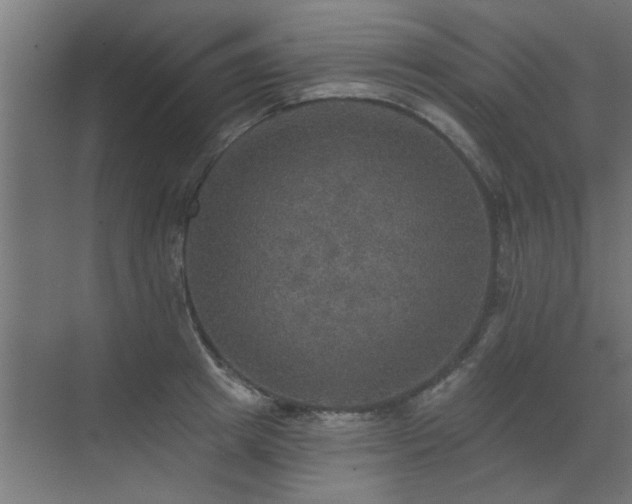 X0000072970849200607211221