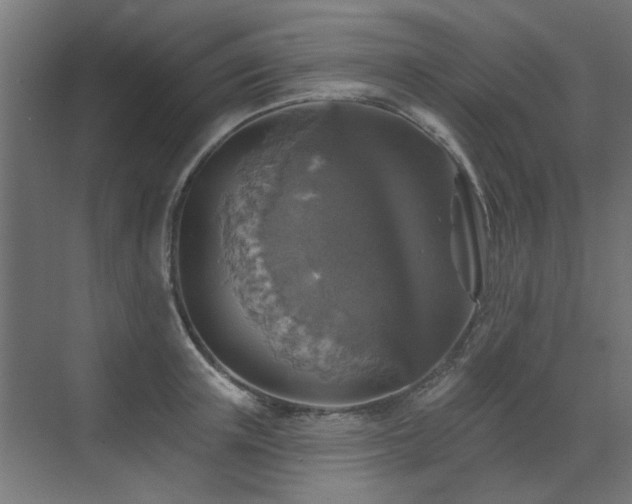 X0000072970851200607211221