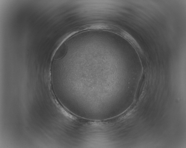 X0000072970852200607211221