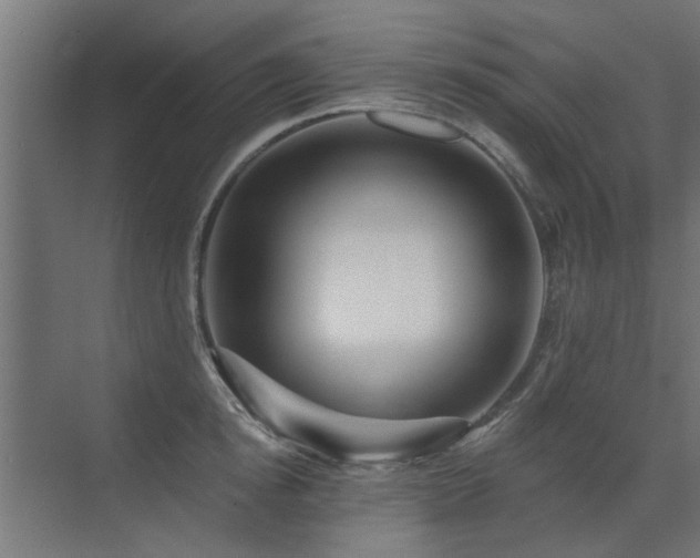 X0000072970854200607211221