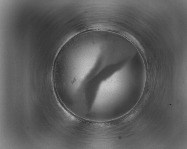 X0000072970855200607211221