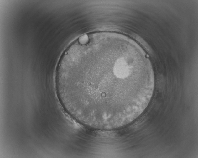 X0000072970856200607211221