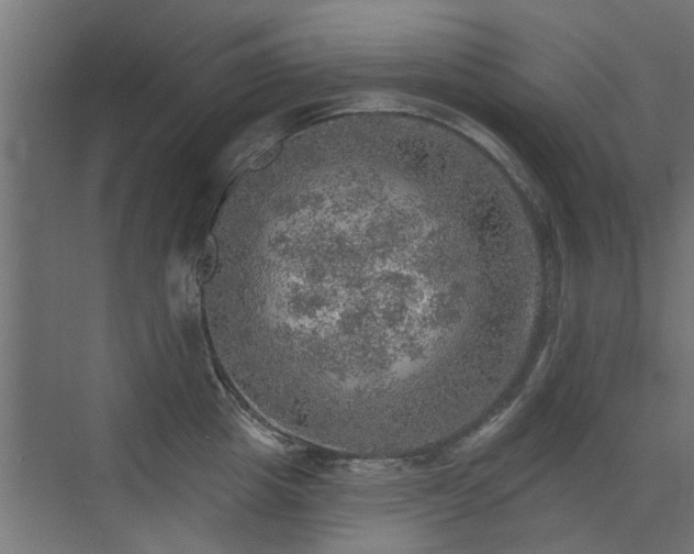 X0000072970857200607211221