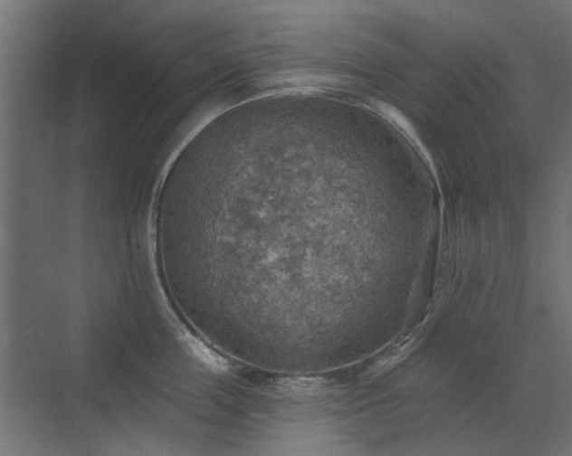 X0000072970859200607211221