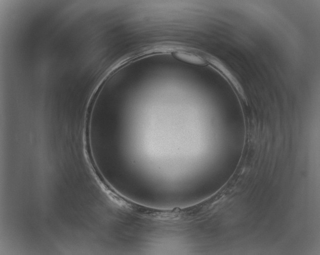 X0000072970861200607211221