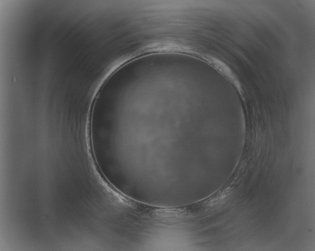 X0000072970863200607211221