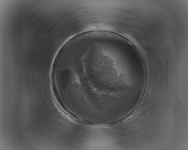 X0000072970864200607211221