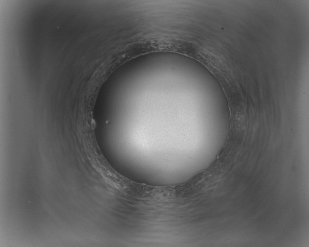 X0000072970865200607211221