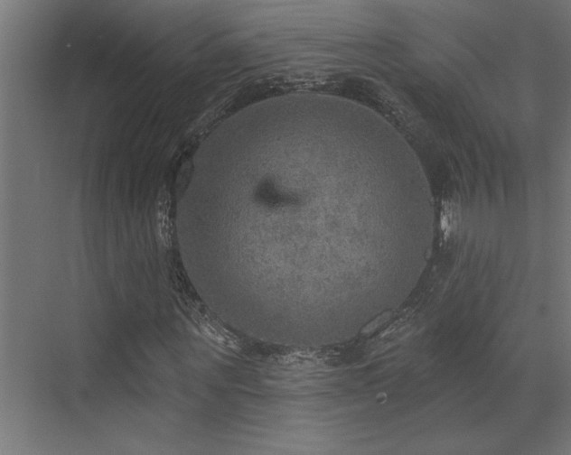 X0000072970867200607211221