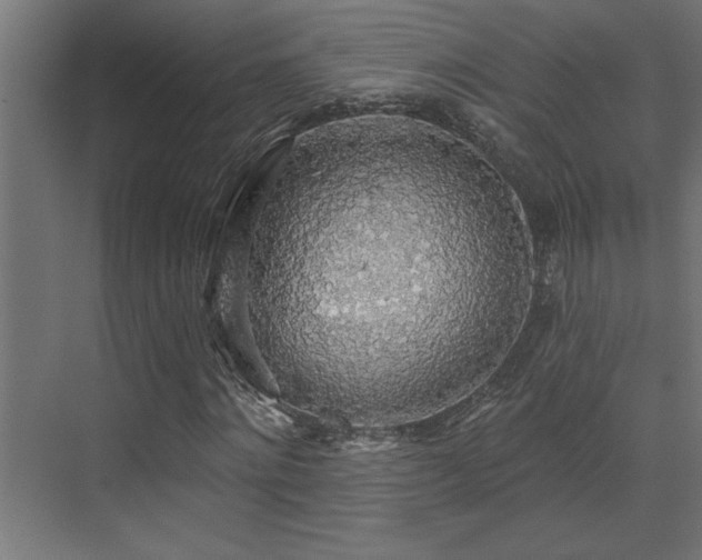 X0000072970868200607211221