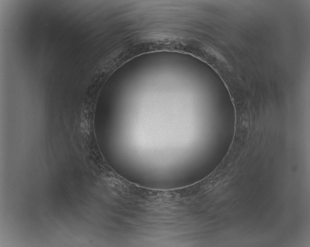 X0000072970869200607211221