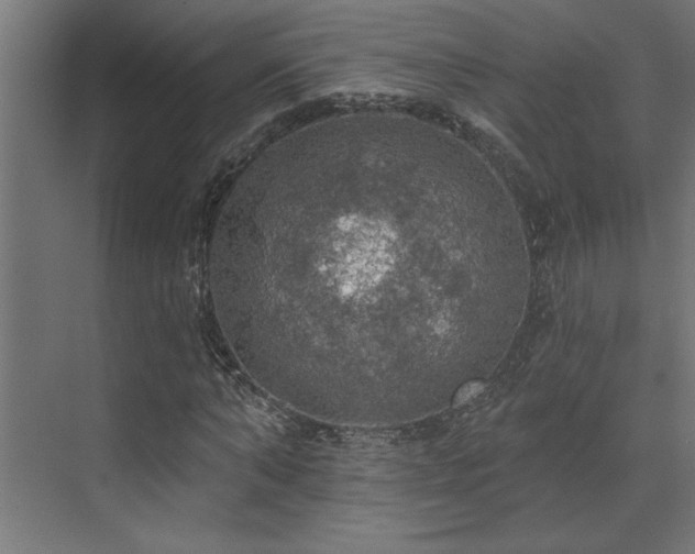 X0000072970870200607211221