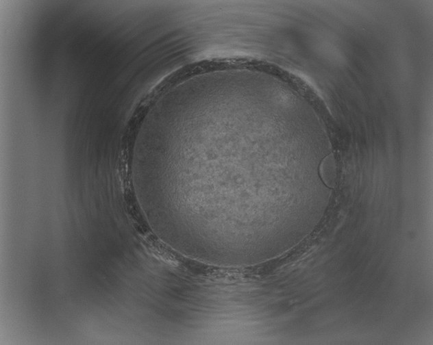 X0000072970871200607211221