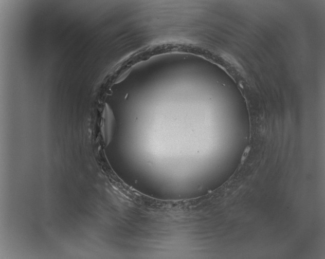 X0000072970872200607211221