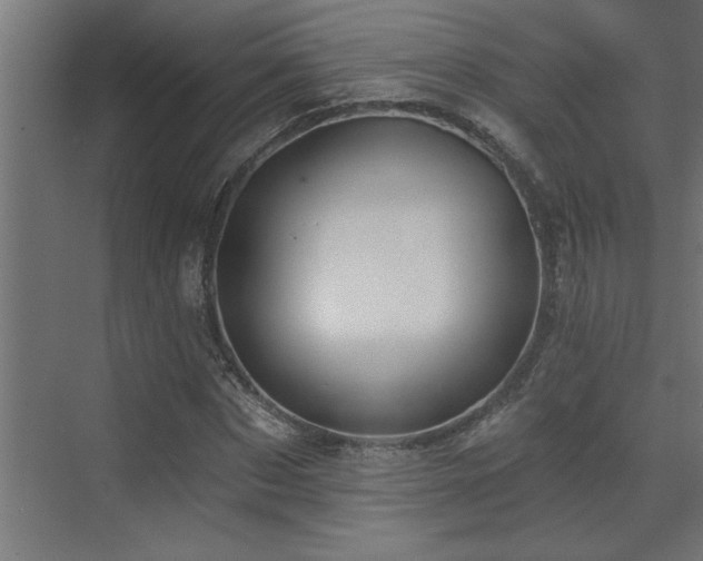 X0000072970873200607211220