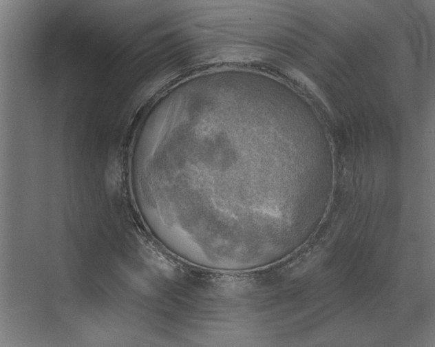 X0000072970874200607211220