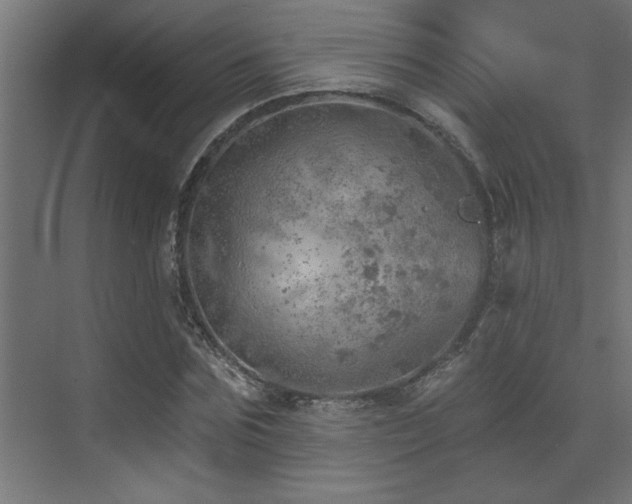 X0000072970875200607211220