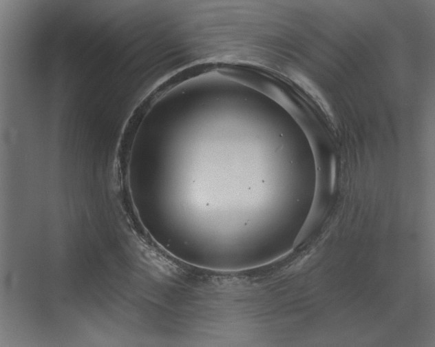 X0000072970876200607211220