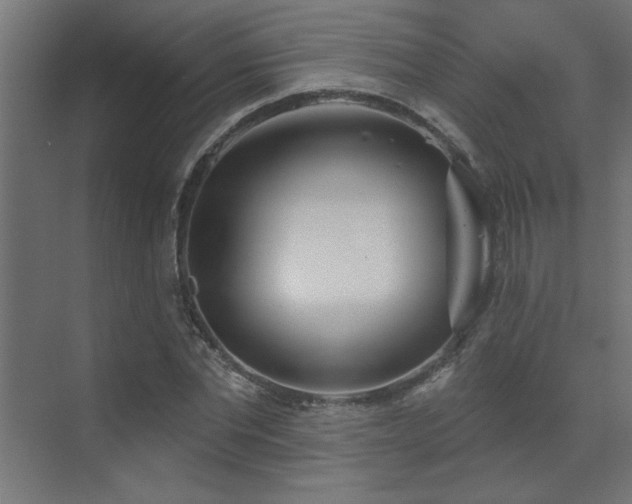 X0000072970877200607211220