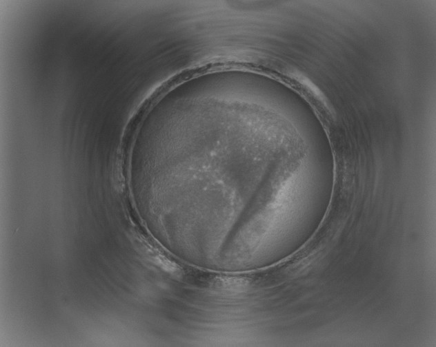 X0000072970878200607211220