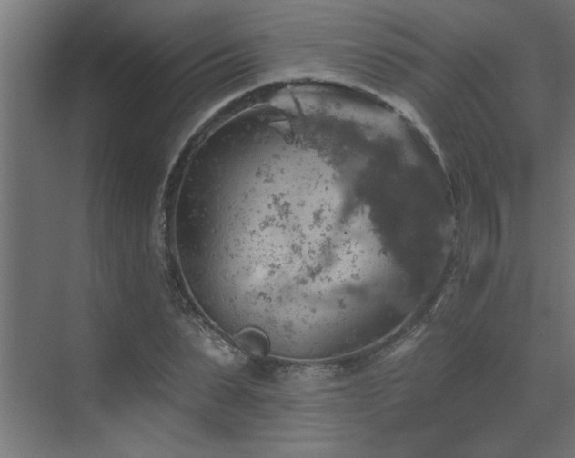 X0000072970879200607211220