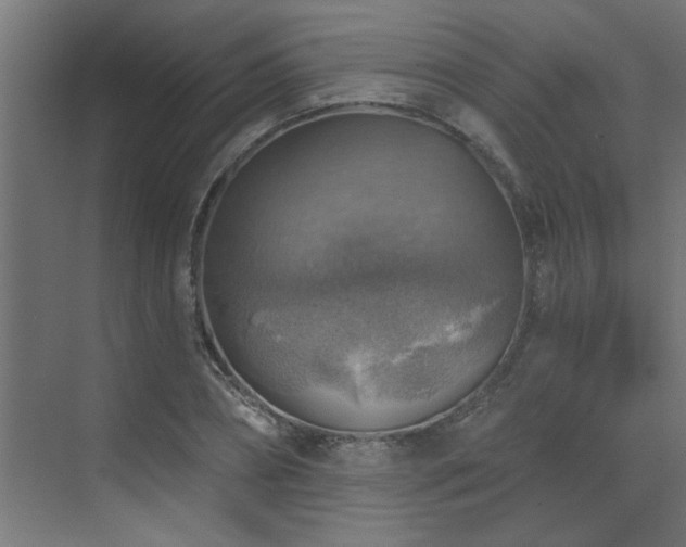 X0000072970882200607211220