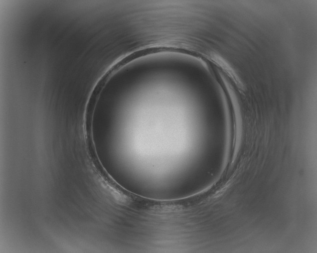 X0000072970884200607211220