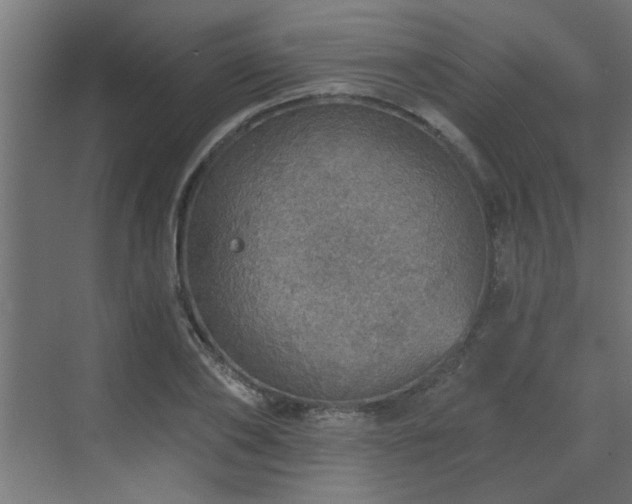 X0000072970886200607211220