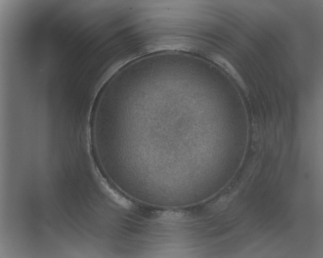 X0000072970890200607211220