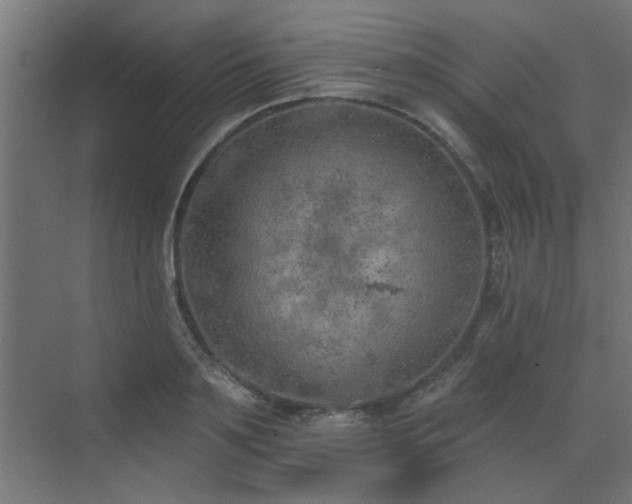 X0000072970891200607211220