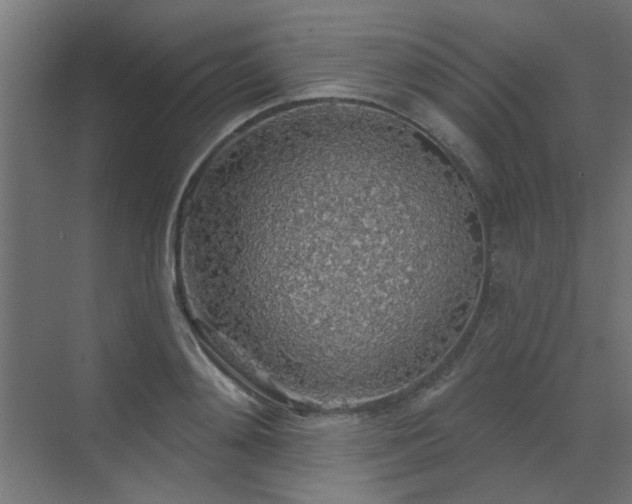 X0000072970892200607211220