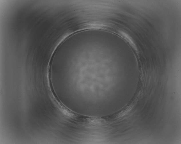 X0000072970899200607211220