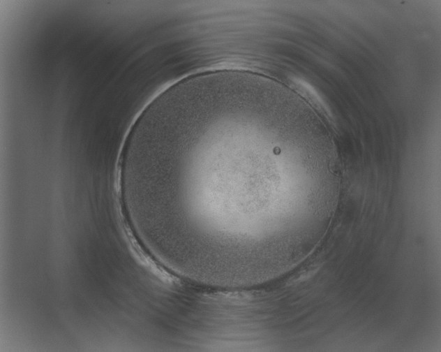 X0000072970900200607211220