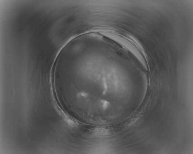 X0000072970907200607211220