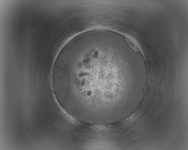 X0000072970911200607211220