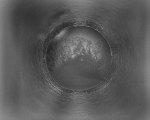 X0000072970913200607211219