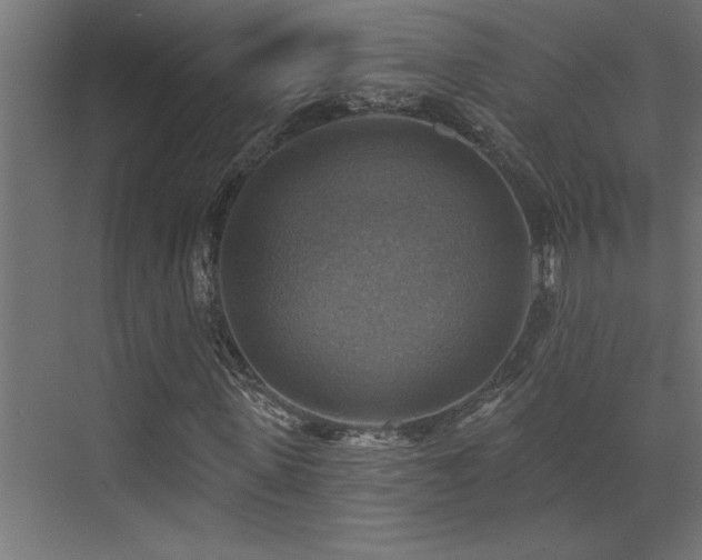 X0000072970915200607211219