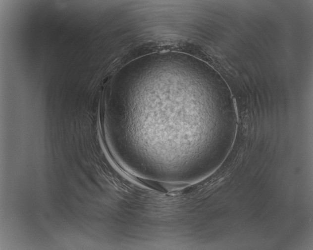 X0000072970916200607211219