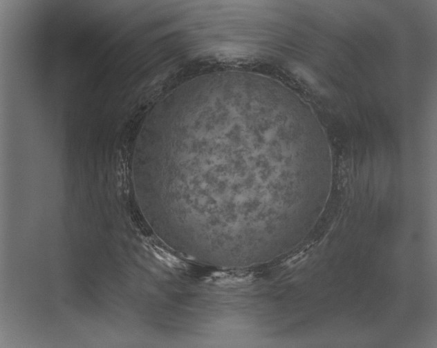 X0000072970917200607211219