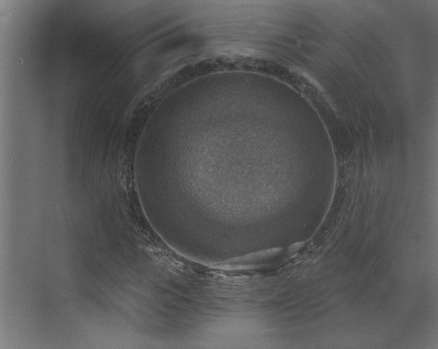 X0000072970919200607211219