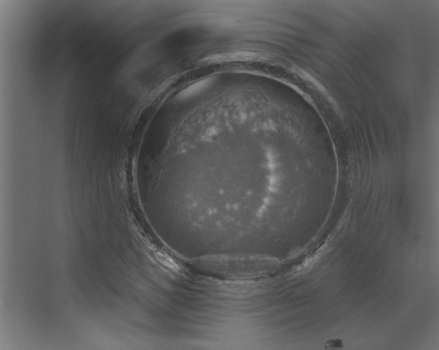 X0000072970921200607211219