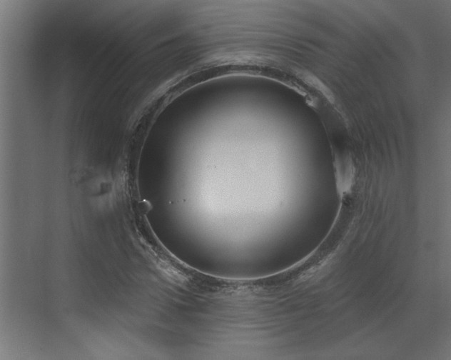 X0000072970922200607211219