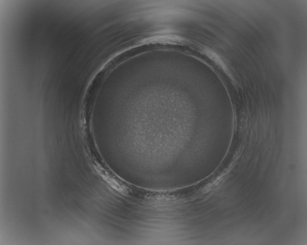 X0000072970923200607211219