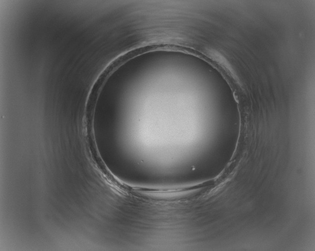 X0000072970924200607211219