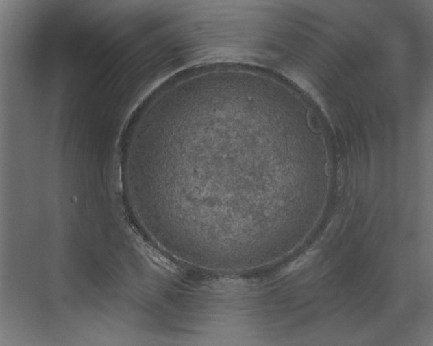 X0000072970925200607211219