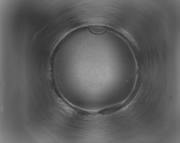 X0000072970926200607211219