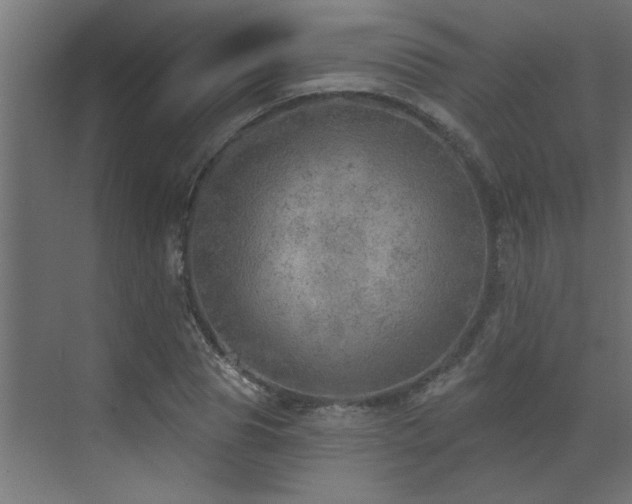 X0000072970929200607211219